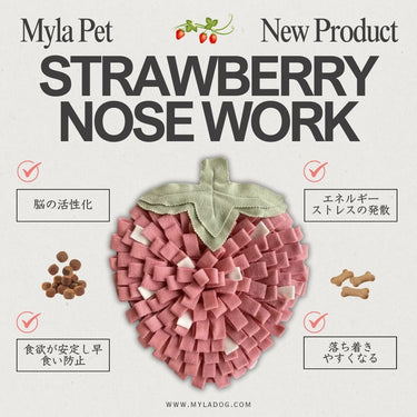 いちごのノーズワーク(知育玩具)